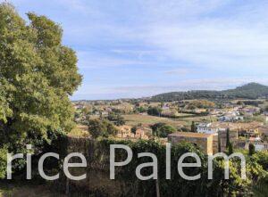 Vue spectaculaire depuis Pals su l'Emporda agricole
