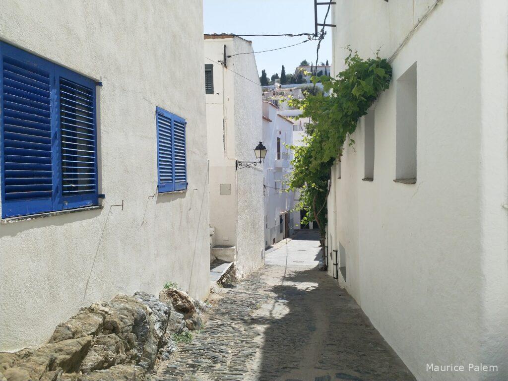 Ruelle pavée en pente à Cadaqués, entre maisons blanches et murs en pierre.