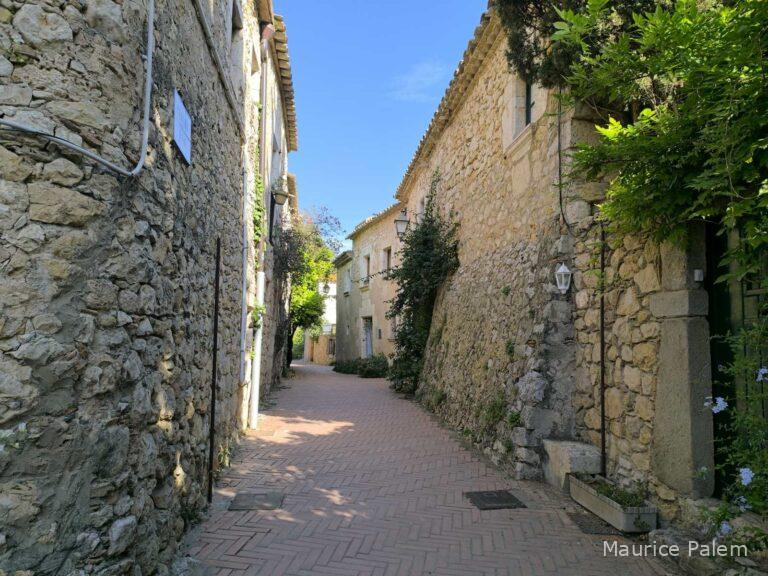 Nous sommes ici dans une ruelle principale de San Marti pavée et bordée de maison d'habitation au façades habillées de végétation