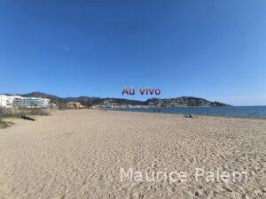 Couverture du single AÚN VIVO, chanson de résilience et chemin de vie.